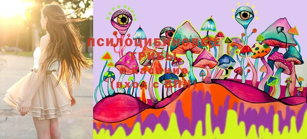 MESCALINE Вязьма