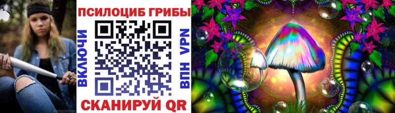 Галлюциногенные грибы Psilocybine cubensis  Купить закладки  Вязьма 
